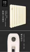 明裝散熱器十大品牌有哪些優(yōu)勢?